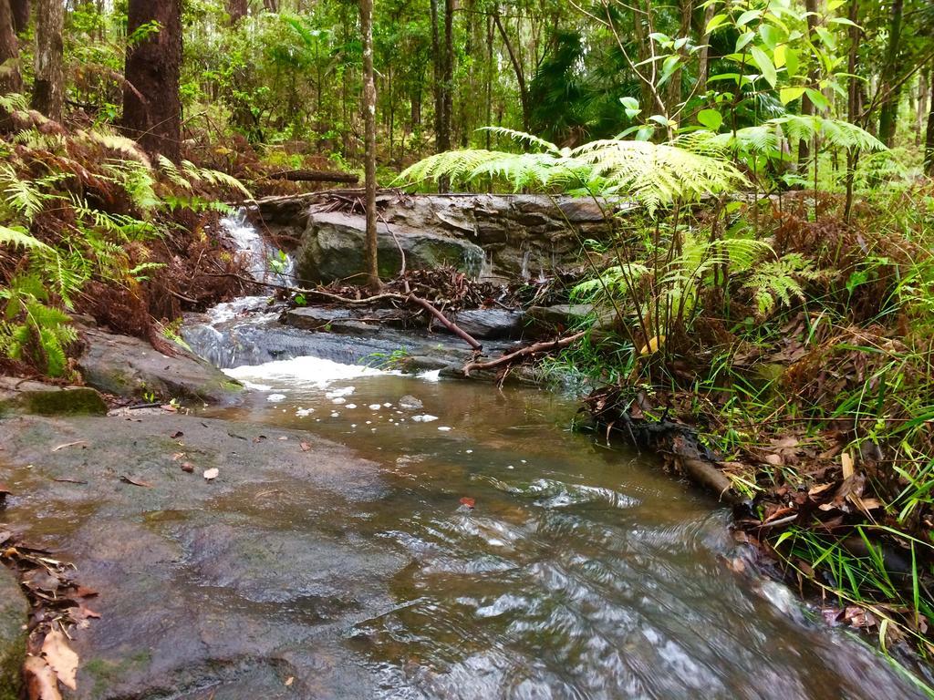 Noosa Hinterland Retreat Apartment Tinbeerwah Екстериор снимка
